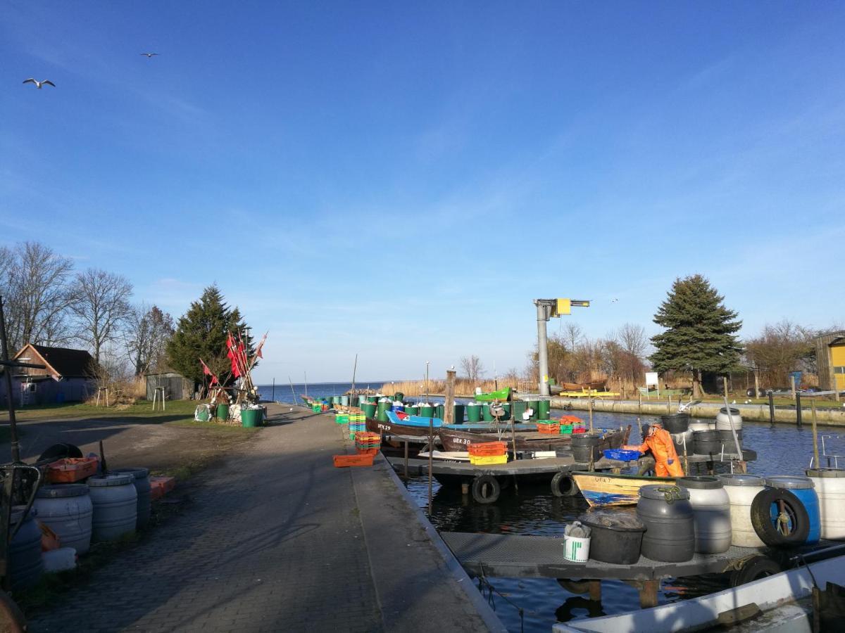 Fewo "Hafenblick" Ueckermünde Extérieur photo