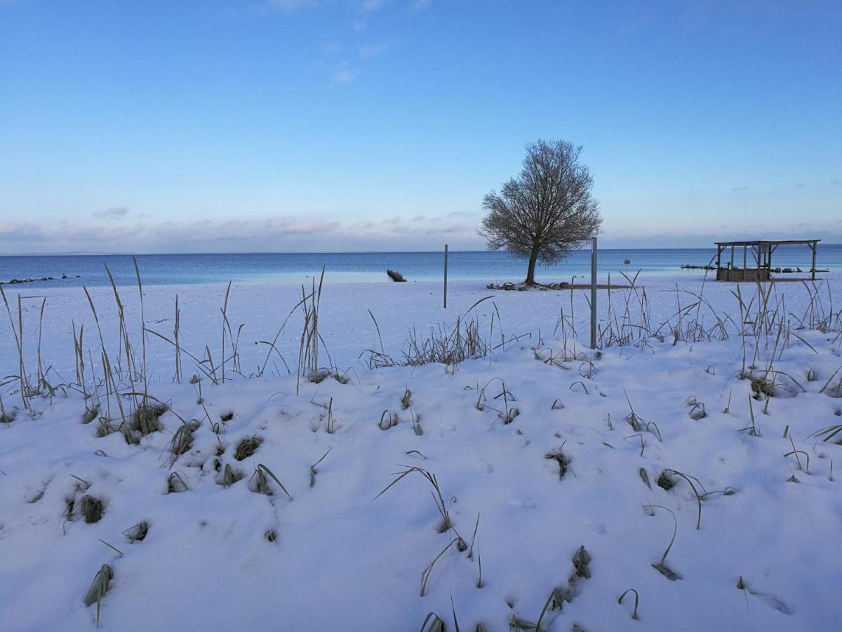 Fewo "Hafenblick" Ueckermünde Extérieur photo