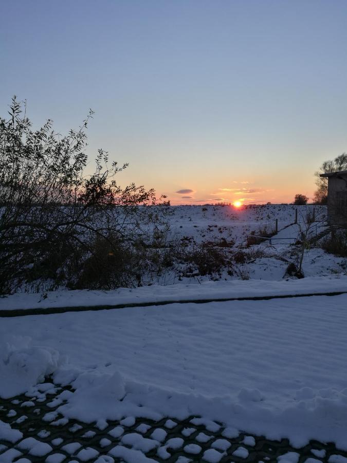 Fewo "Hafenblick" Ueckermünde Extérieur photo