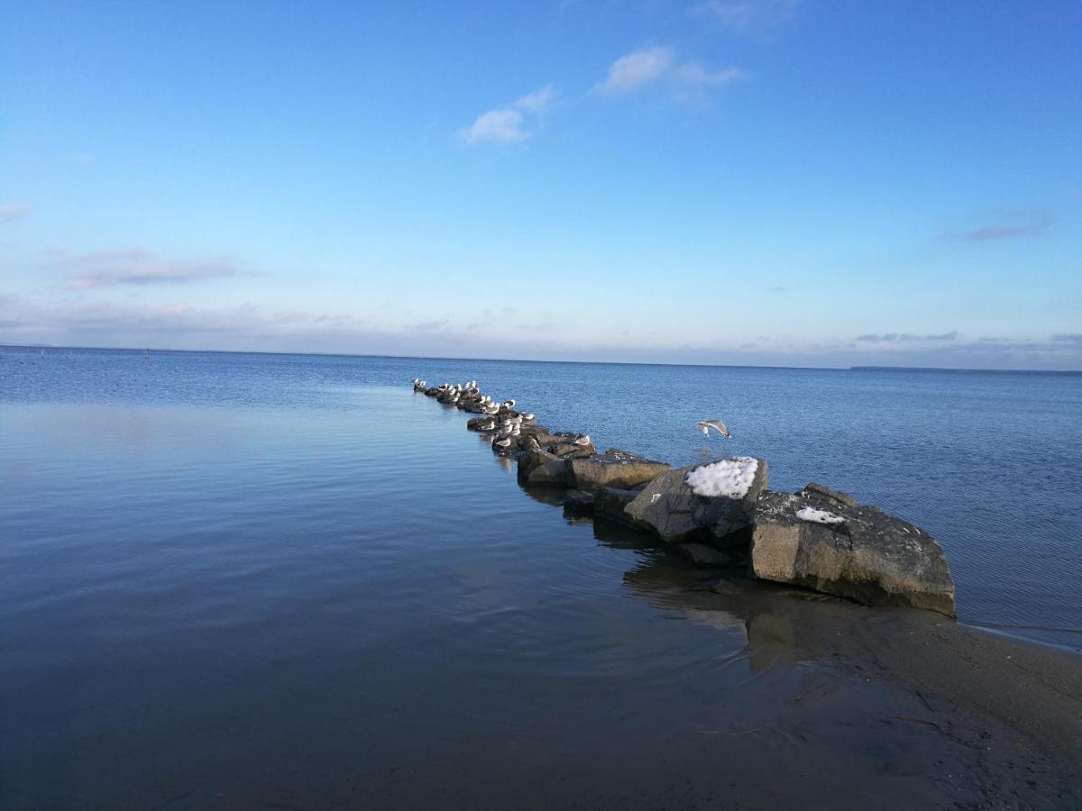 Fewo "Hafenblick" Ueckermünde Extérieur photo