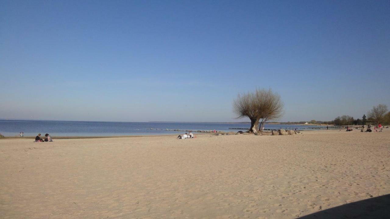 Fewo "Hafenblick" Ueckermünde Extérieur photo